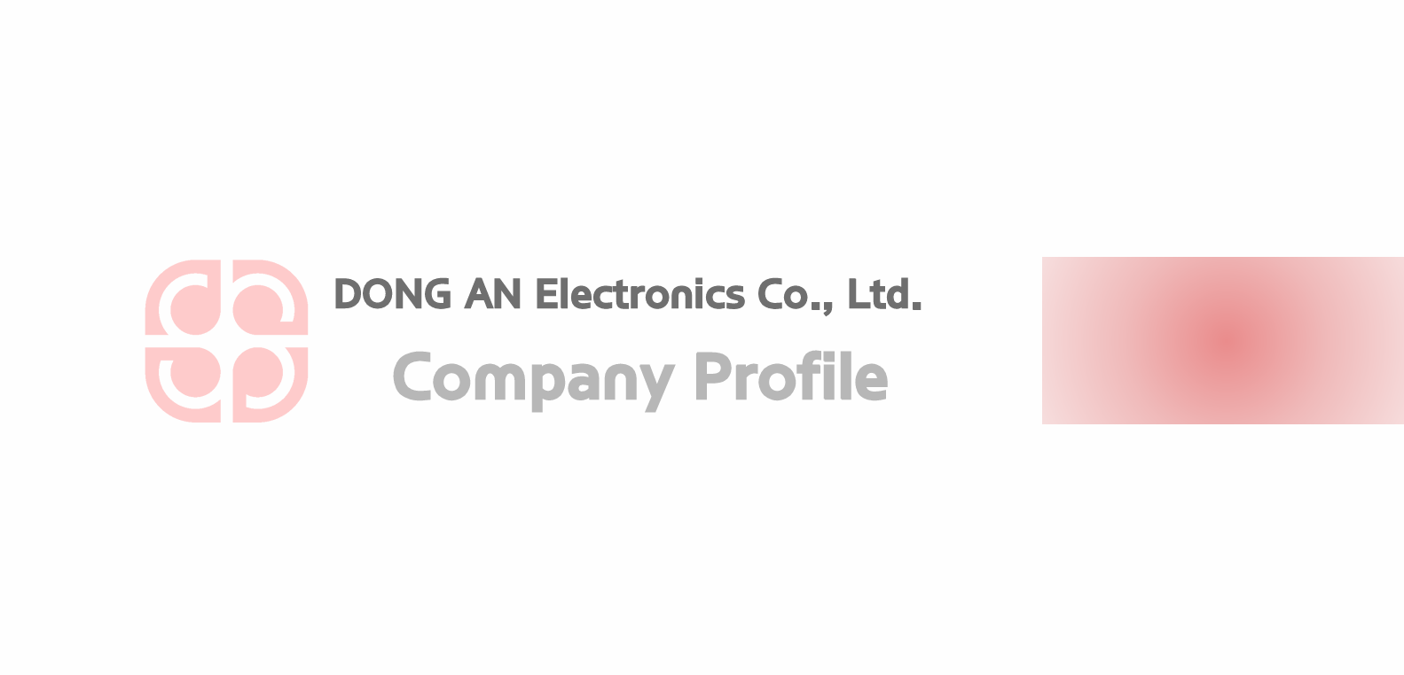 Dongan Electronics Company Brochure